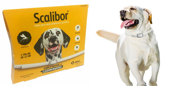 collar antiparasitario scalibor 65 cm